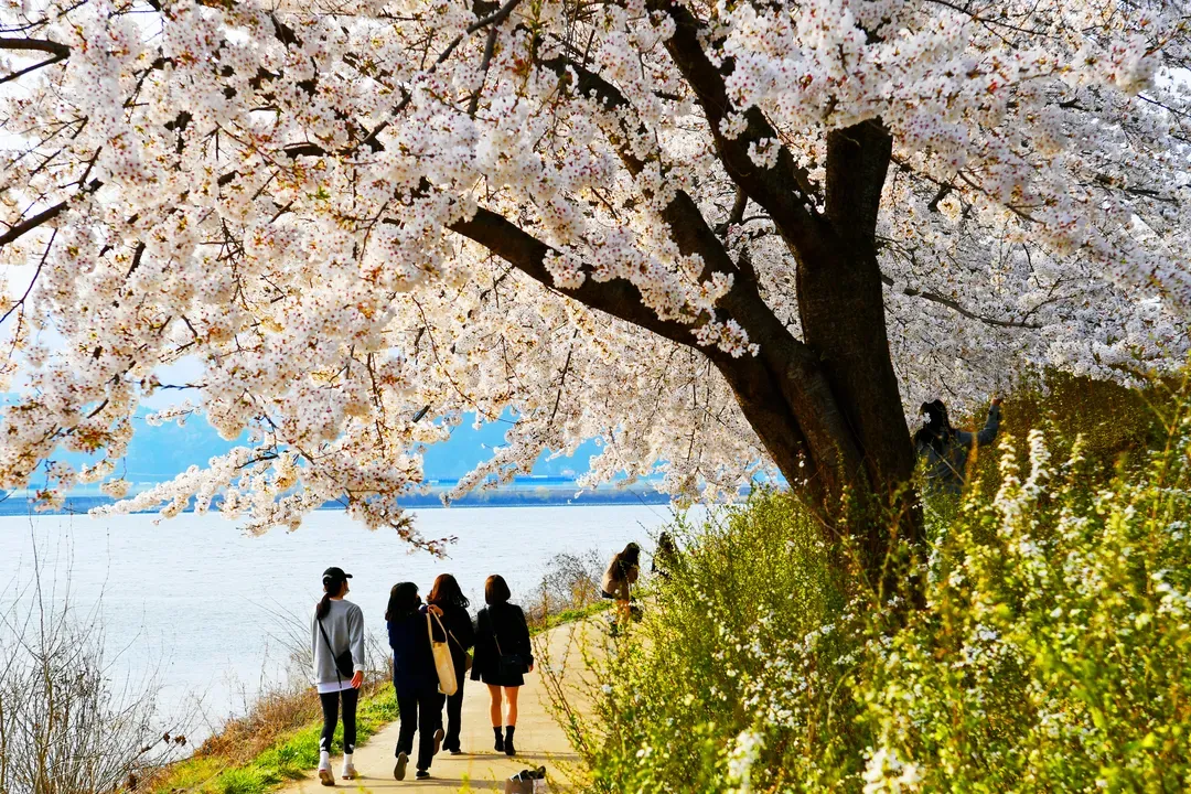 春川