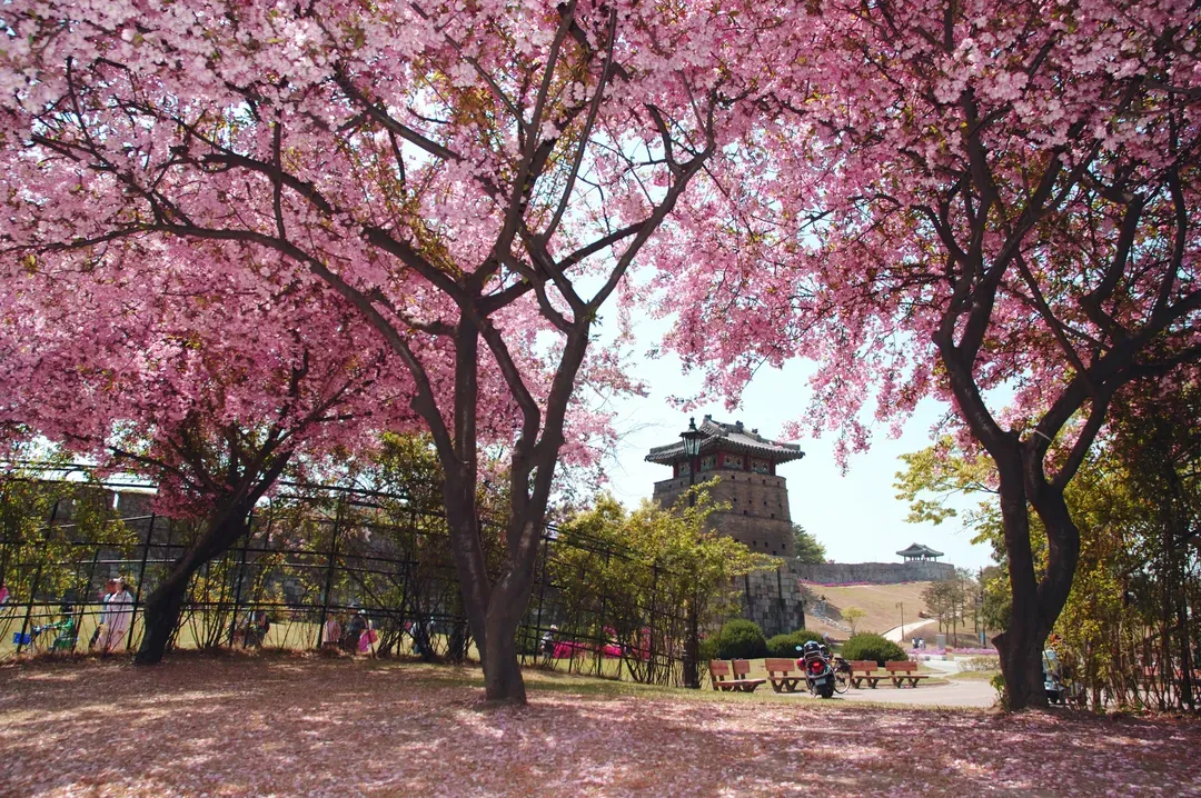 水原華城