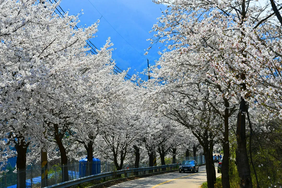 春川