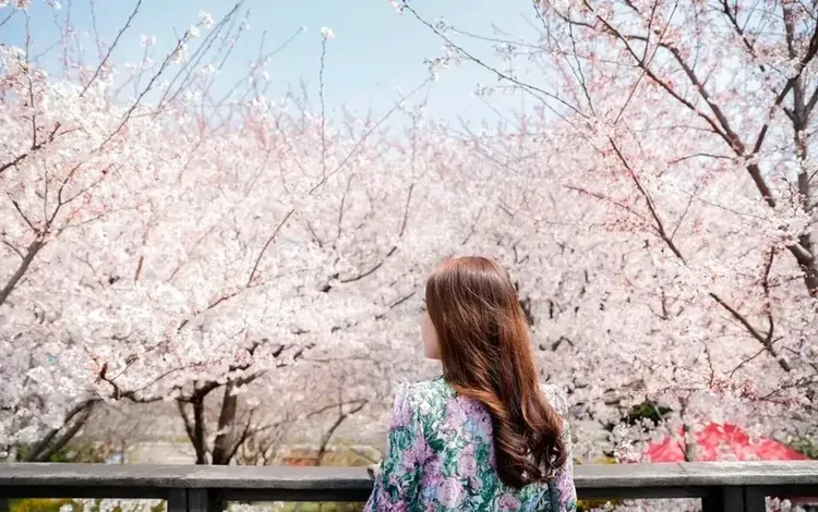 行程簡介-overview