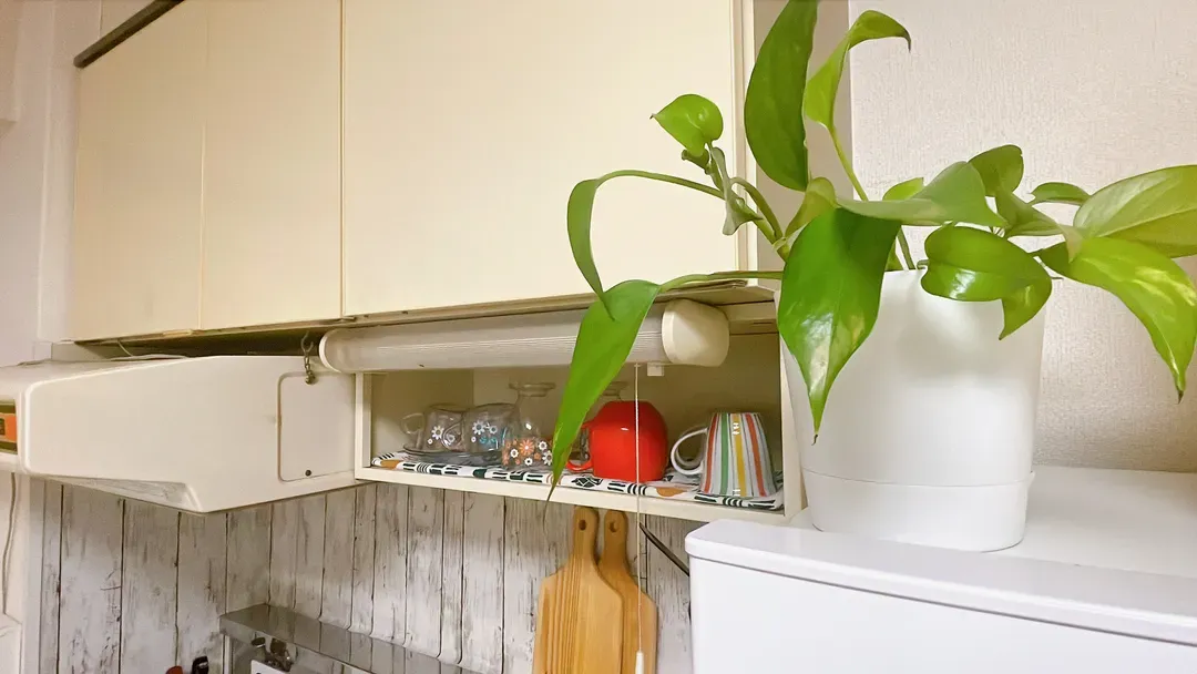2024/1 NEW OPEN! Within a 5-minute walk from Sapporo Subway Kita 18-jo Station｜Fully equipped with home appliances｜Close to Sapporo Odori｜Long-term stays welcome-10