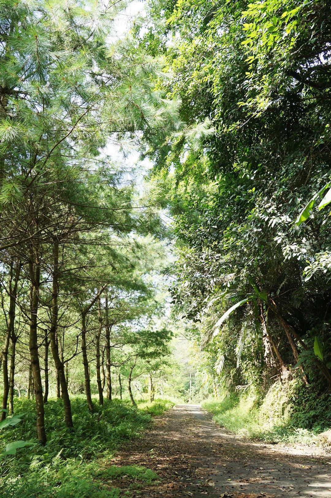 山田民宿 | 露營車、包棟房型-11