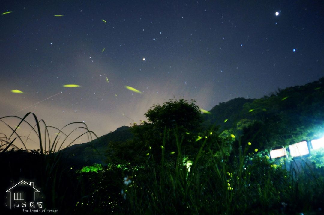 山田民宿 | 露營車、包棟房型-5