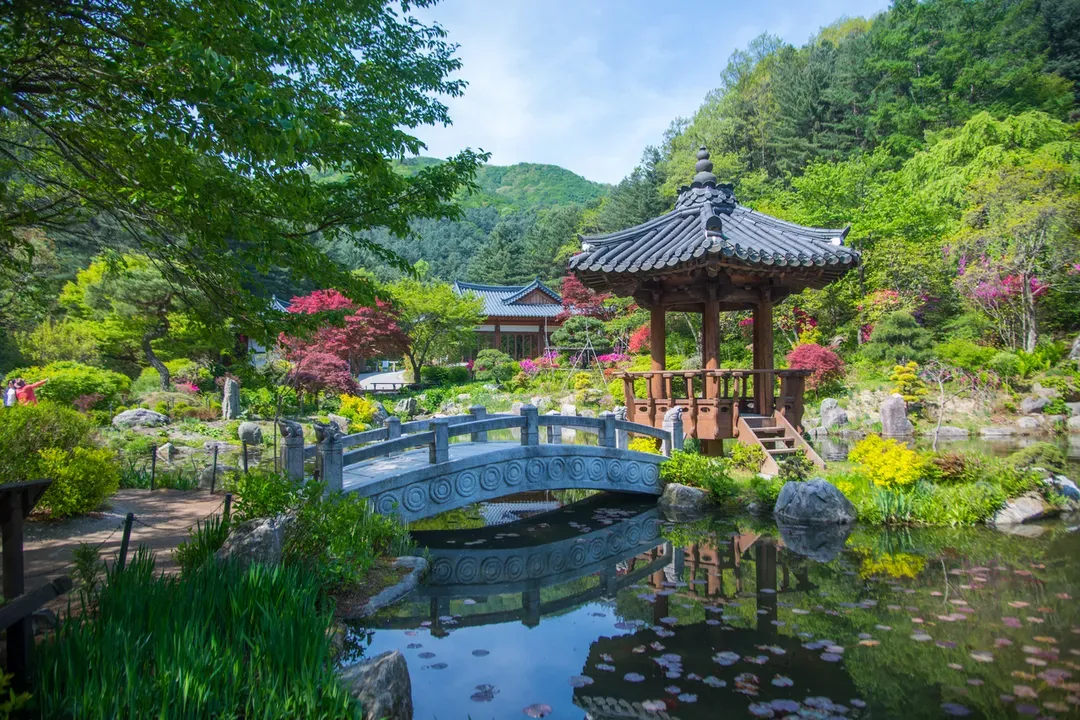 晨靜樹木園-春景