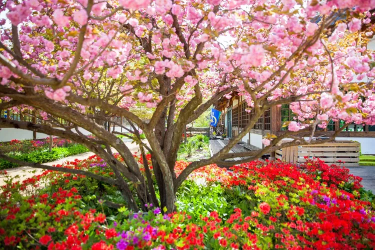 行程簡介-overview