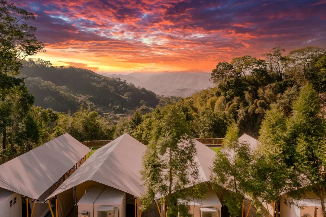 Grow Tree Glamping