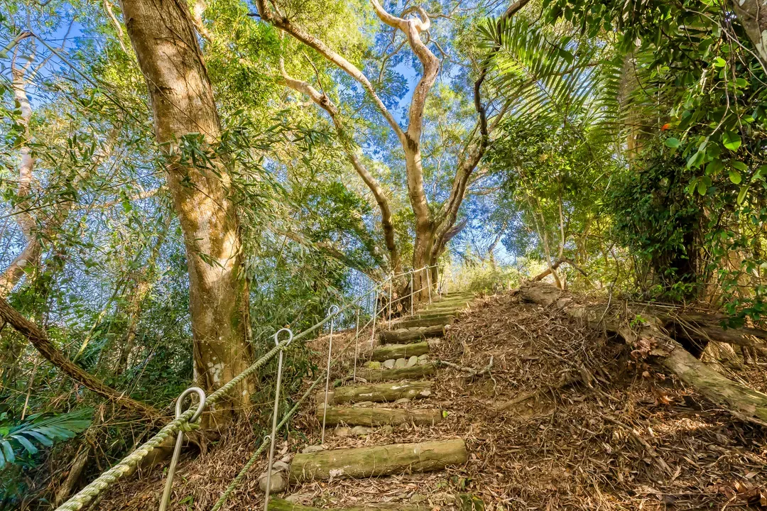 Grow Tree Glamping