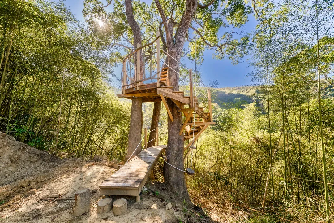 Grow Tree Glamping