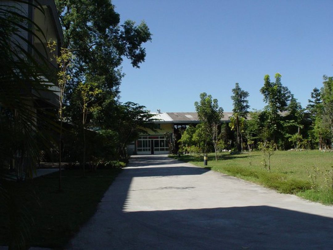 Peak Forest Villa