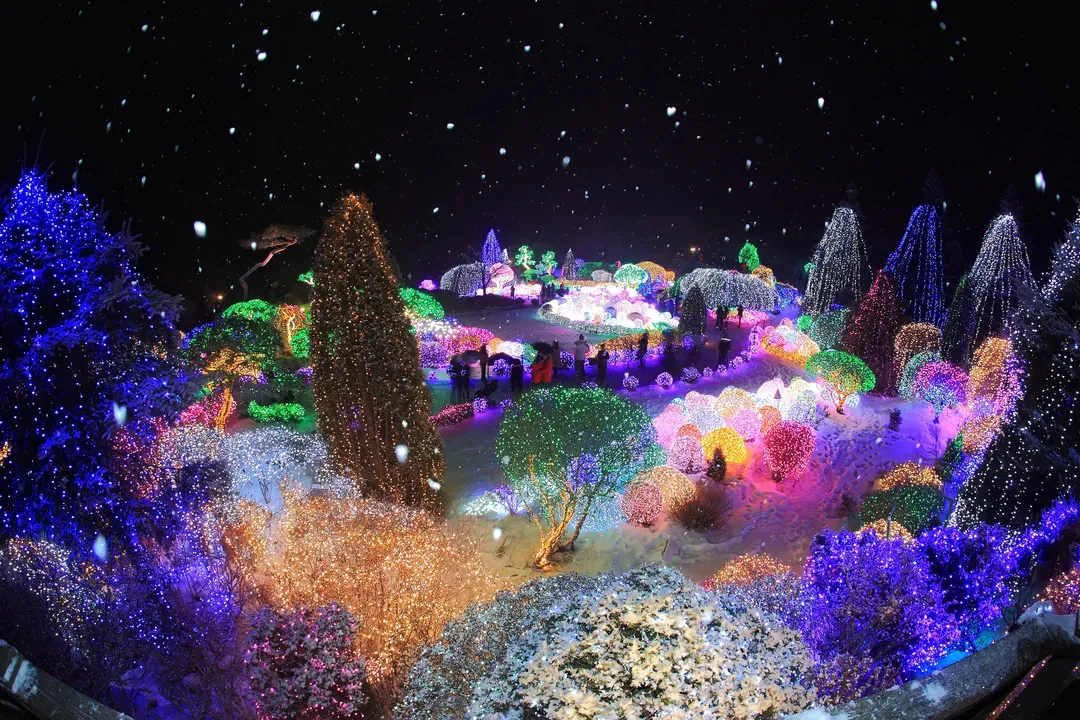 晨靜樹木園-五色星光庭園展
