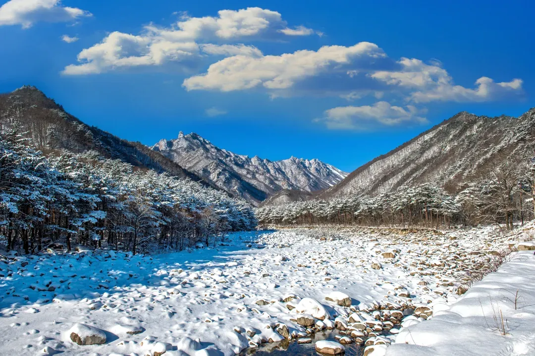 雪嶽山