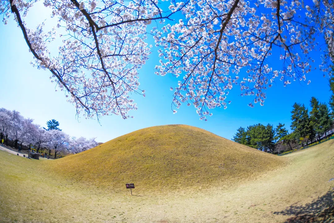慶州大陵苑