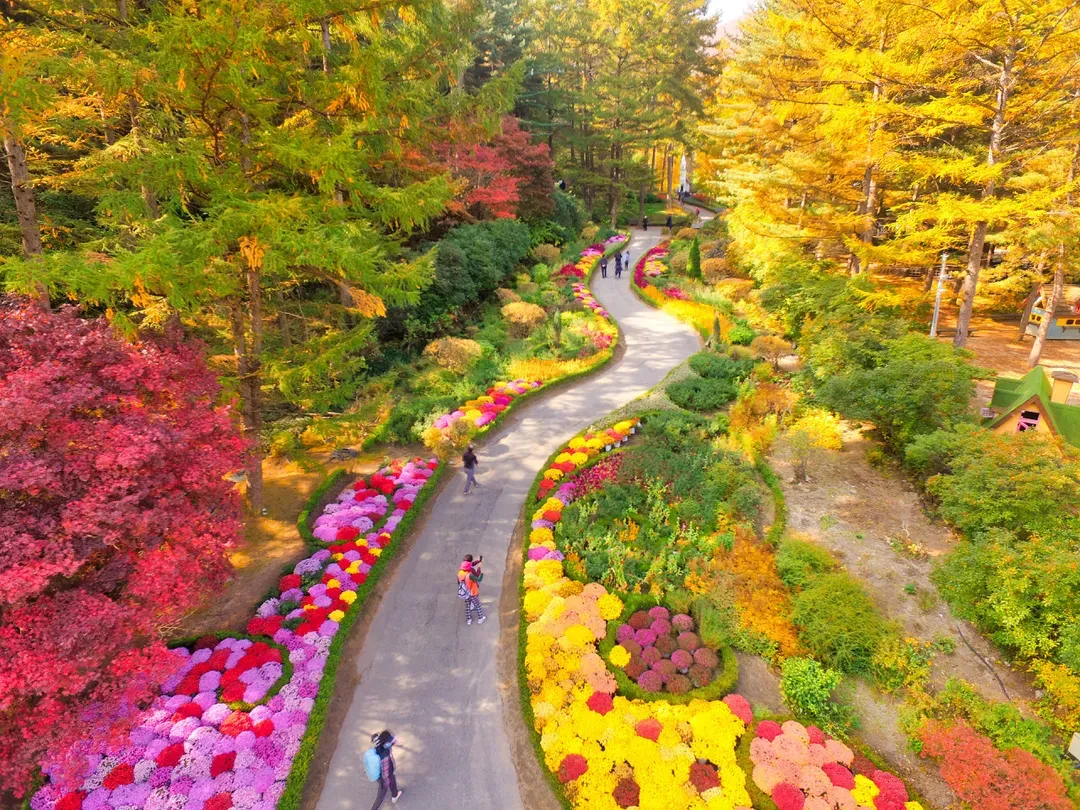 晨靜樹木園-春景