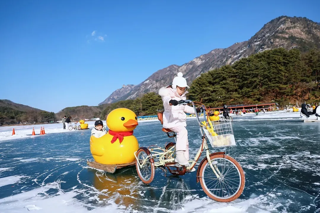 山井湖 (鴨子雪橇及腳踏車需自費)