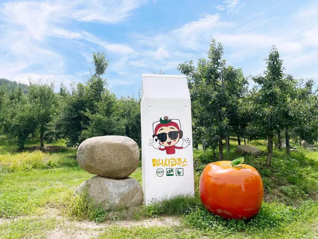 蘋果農場體驗