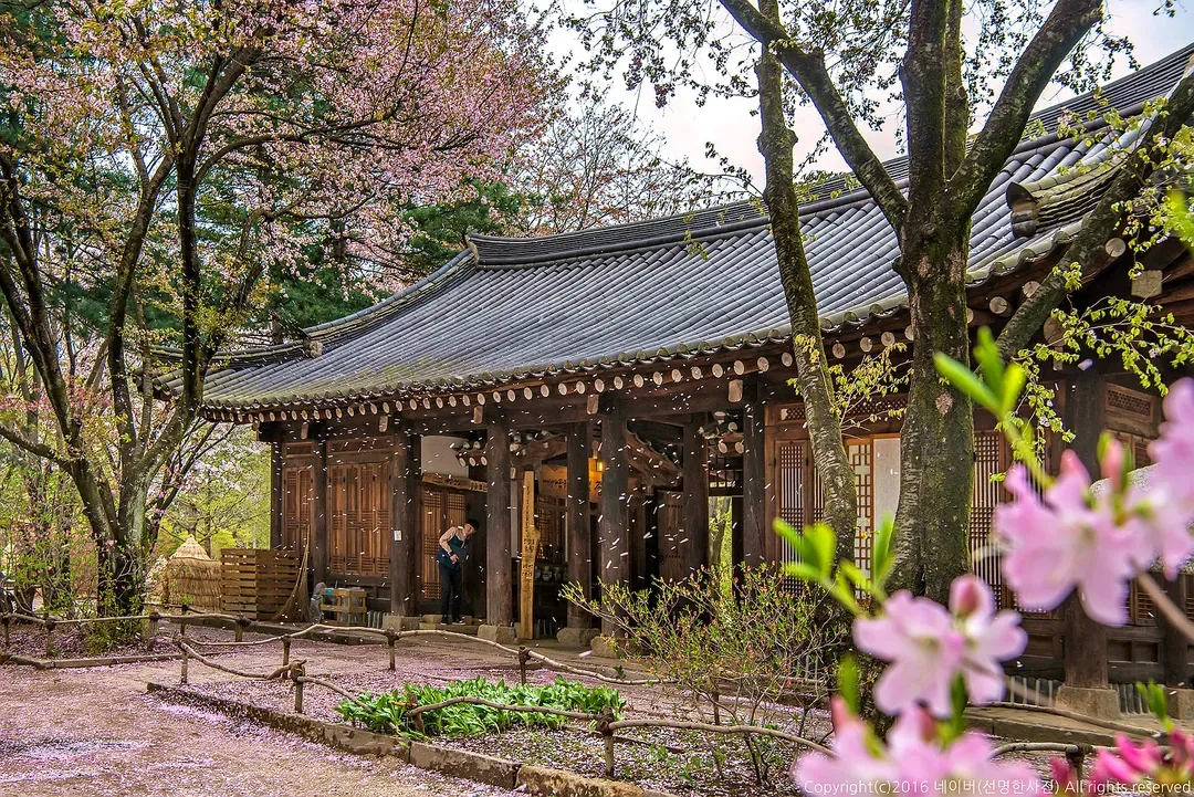 南怡島-春景
