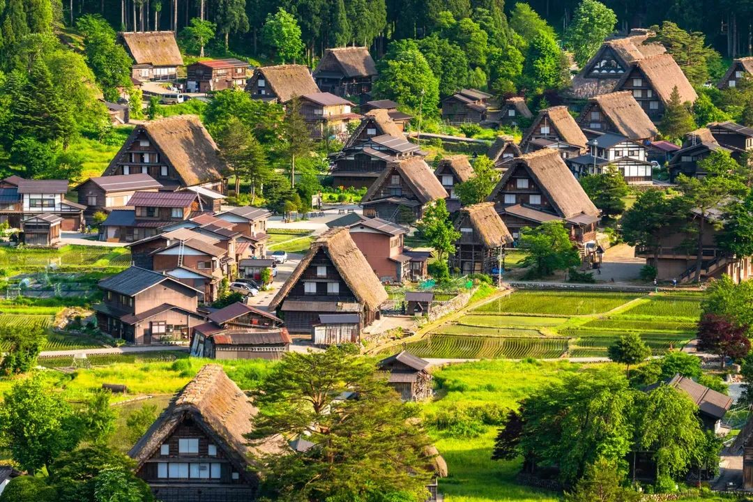 【岐阜秘境巴士一日遊】白川鄉合掌村．世界遺產飛驒高山｜名古屋出發．英語導遊-5