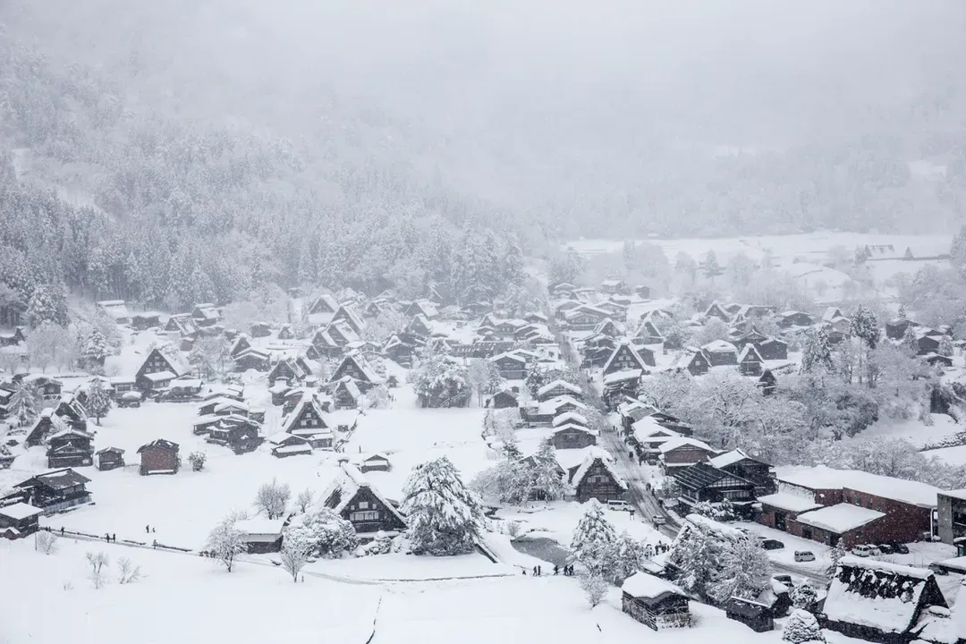 【岐阜秘境巴士一日遊】白川鄉合掌村．世界遺產飛驒高山｜名古屋出發．英語導遊-13