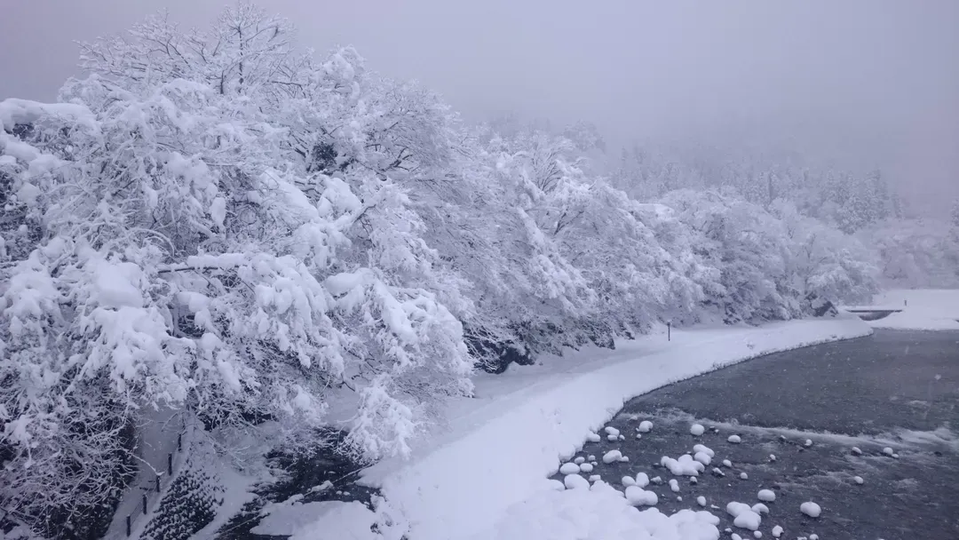 【岐阜秘境巴士一日遊】白川鄉合掌村．世界遺產飛驒高山｜名古屋出發．英語導遊-12