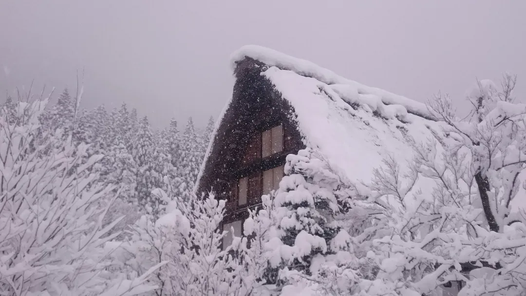 【岐阜秘境巴士一日遊】白川鄉合掌村．世界遺產飛驒高山｜名古屋出發．英語導遊-10