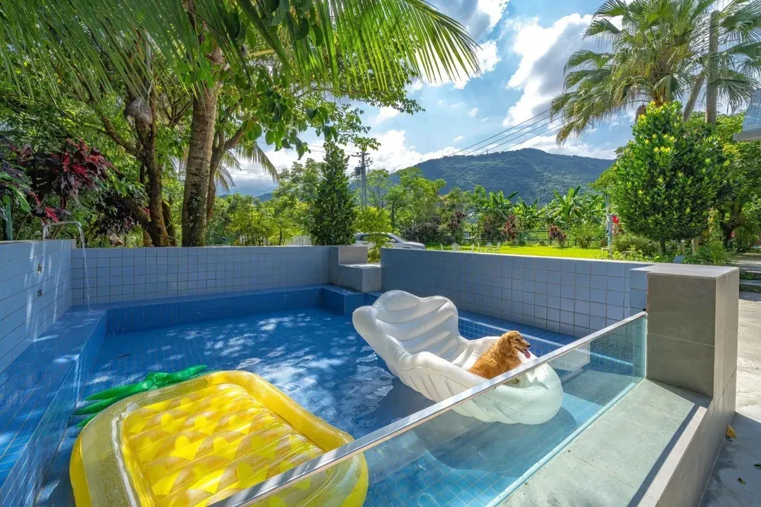 Sun pool on the cloud-Tree house villa