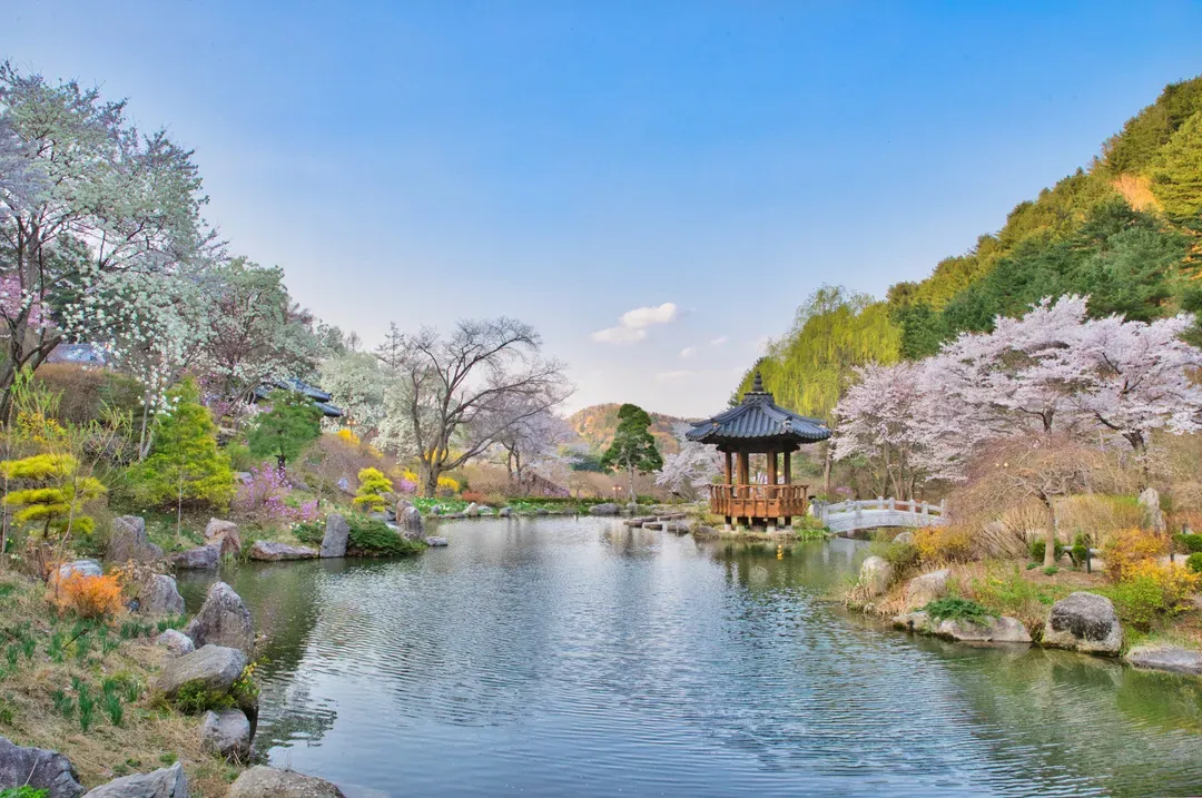 晨靜樹木園