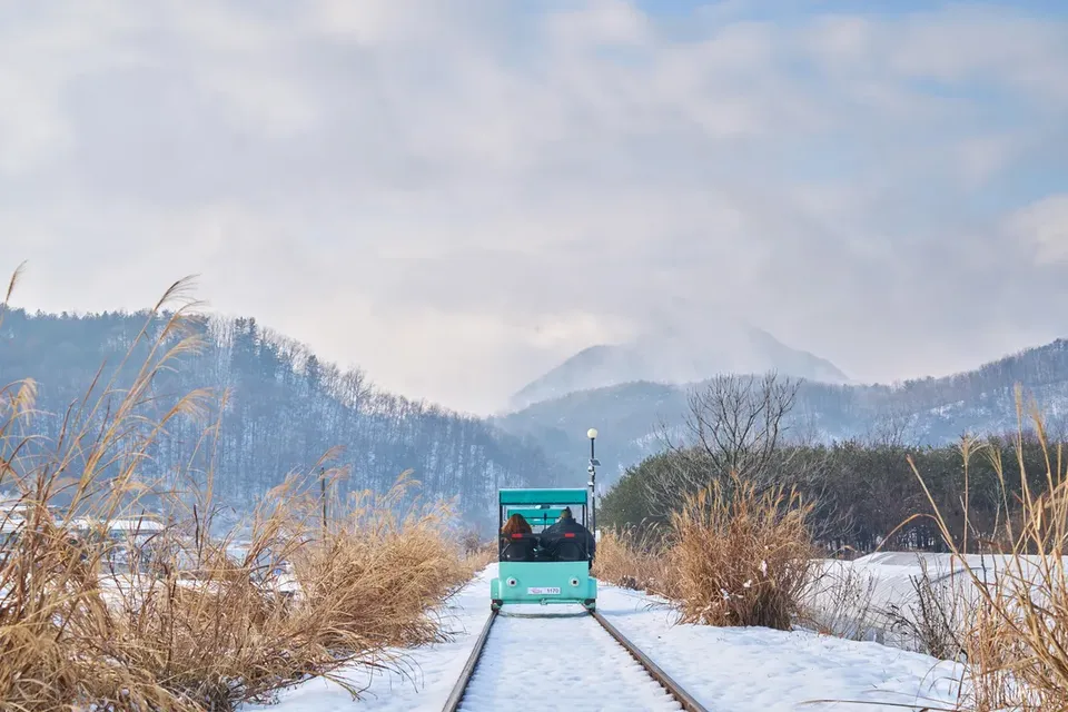 【首爾出發】採草莓+南怡島+江村鐵道自行車+晨靜樹木園一日遊-1