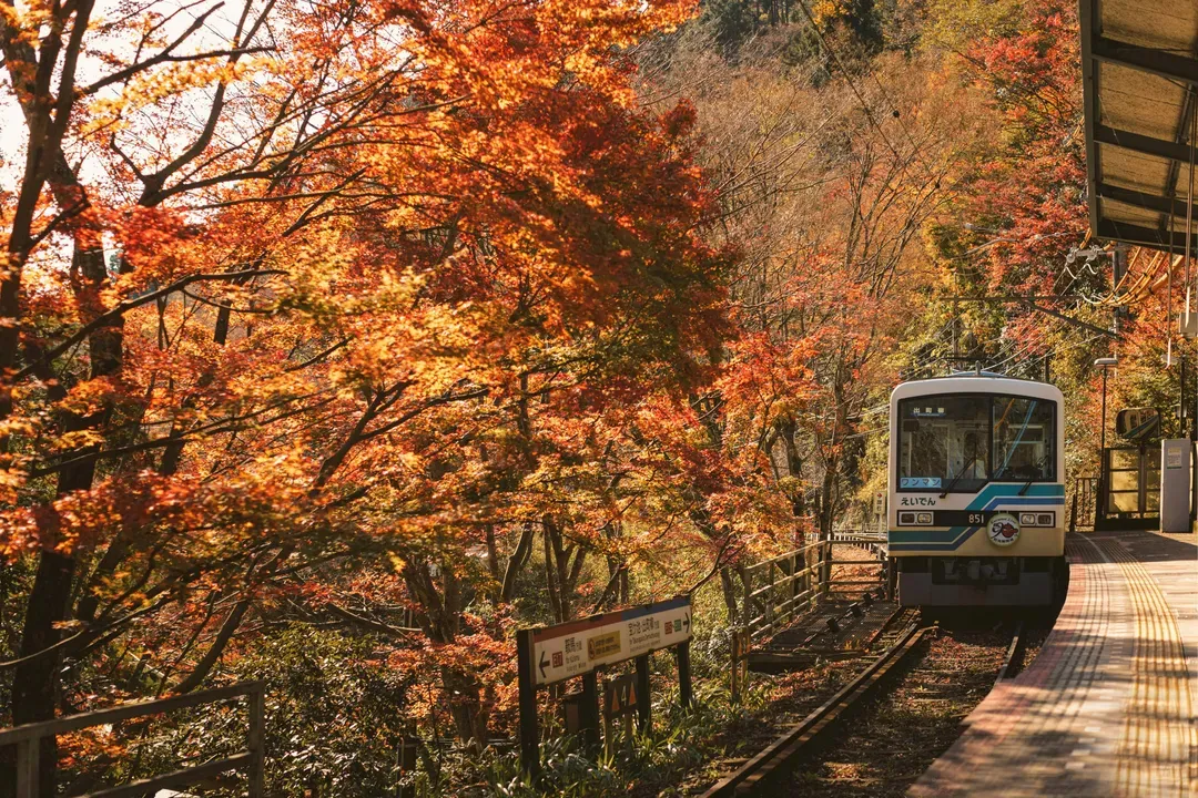 京阪電車 京都、大阪觀光一日券/24小時券｜KYOTO-OSAKA SIGHTSEEING PASS 1day/24-hour ticket-8