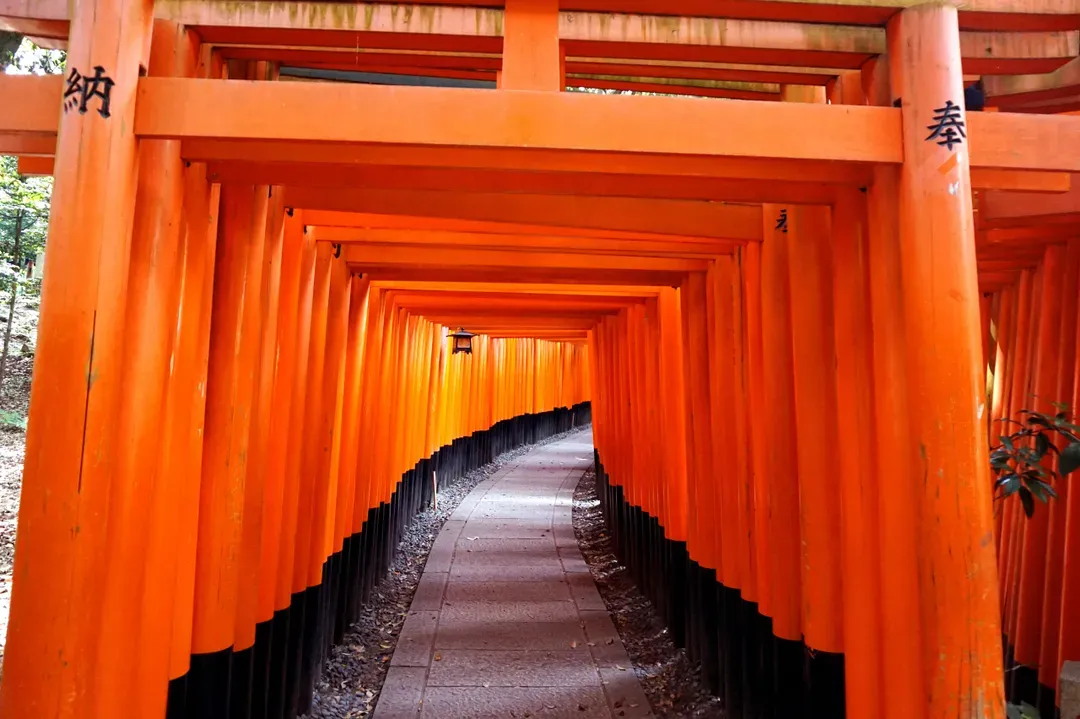 京阪電車 京都、大阪觀光一日券/24小時券｜KYOTO-OSAKA SIGHTSEEING PASS 1day/24-hour ticket-6
