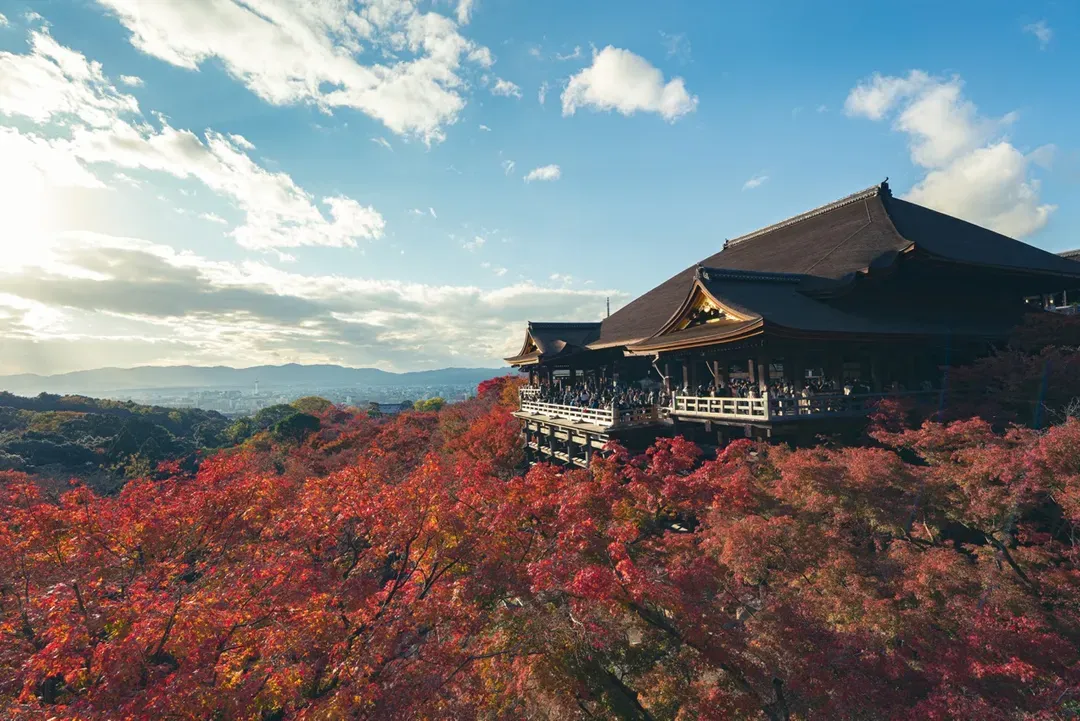 京阪電車 京都、大阪觀光一日券/24小時券｜KYOTO-OSAKA SIGHTSEEING PASS 1day/24-hour ticket-5