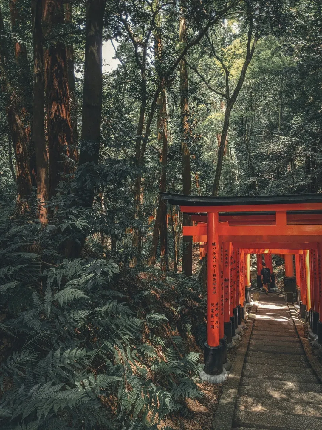京阪電車 京都、大阪觀光一日券/24小時券｜KYOTO-OSAKA SIGHTSEEING PASS 1day/24-hour ticket-9