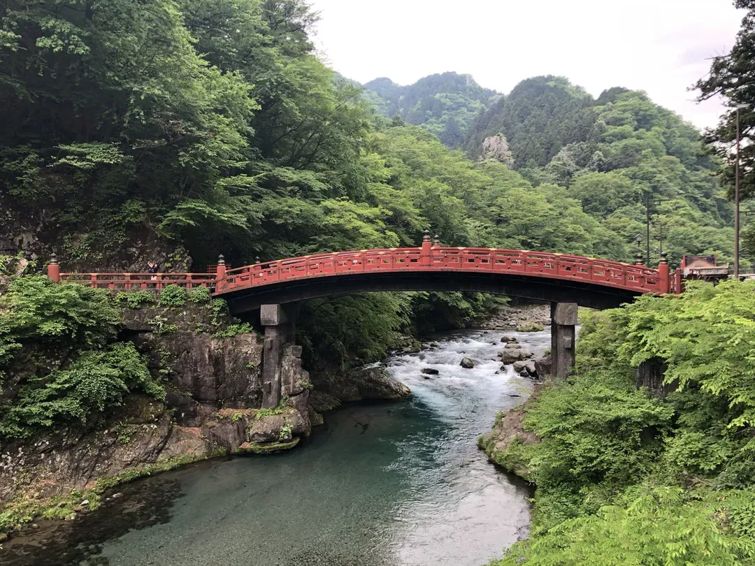【日光一日遊巴士】日光東照宮・華嚴瀑布・中禪寺湖一日遊｜中英領隊・新宿、東京出發-7