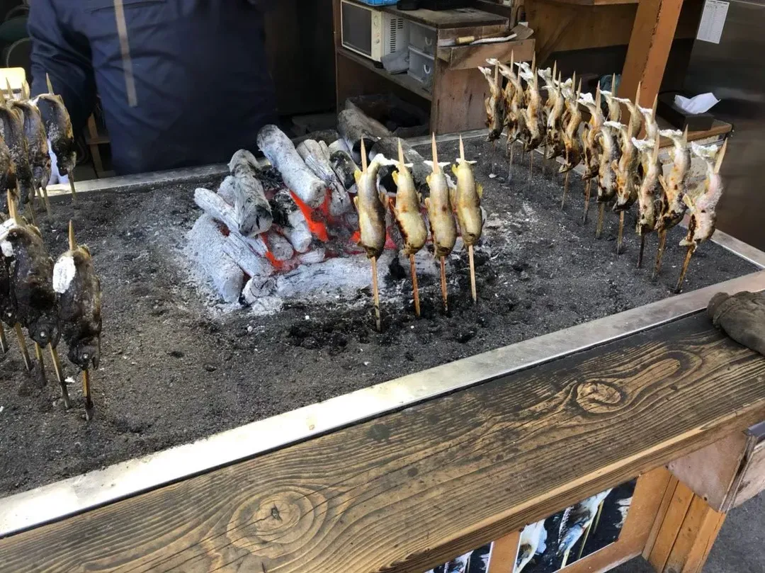 【日光一日遊巴士】日光東照宮・華嚴瀑布・中禪寺湖一日遊｜中英領隊・新宿、東京出發-13