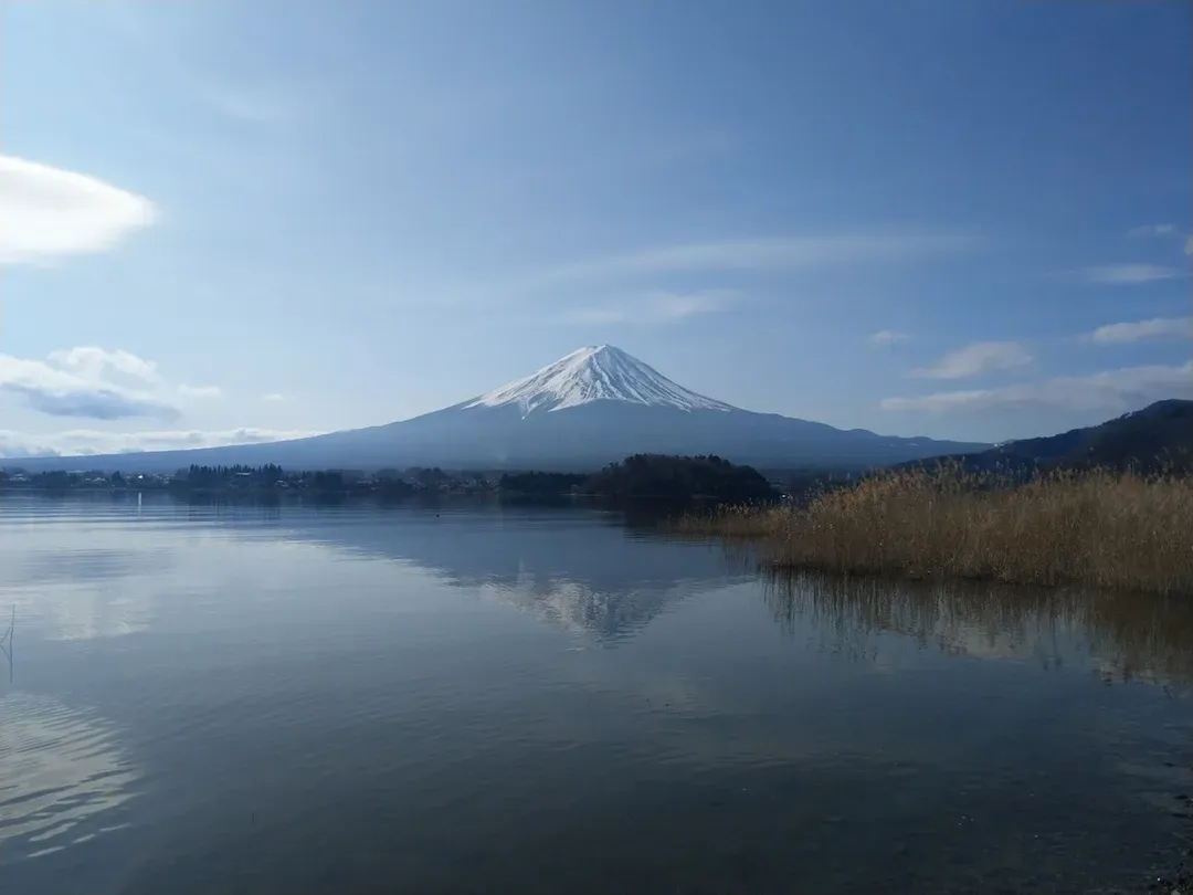【富士山賞景購物一日遊】河口湖．四季堂抹茶體驗．御殿場OUTLET｜新宿出發-8