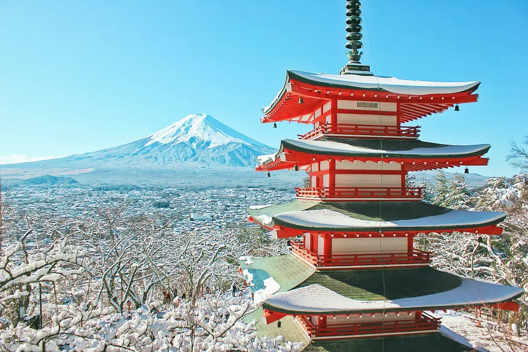 【富士山賞景購物一日遊】河口湖．四季堂抹茶體驗．御殿場OUTLET｜新宿出發-9