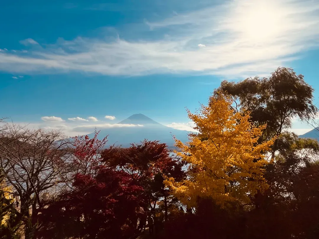 【富士山賞景購物一日遊】河口湖．四季堂抹茶體驗．御殿場OUTLET｜新宿出發-5