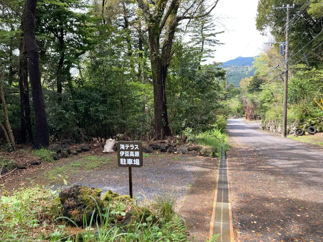 伊豆高原露台別墅-4