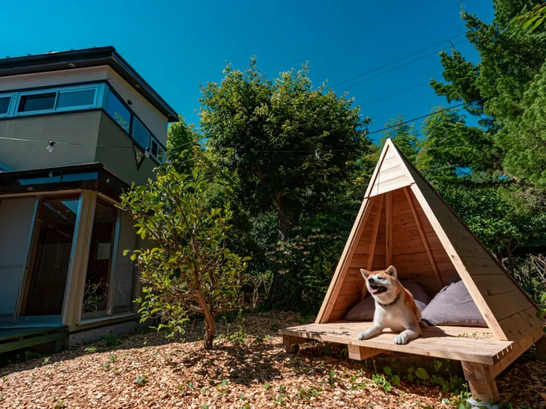 PINE CONE BASE 伊东庭园旅居