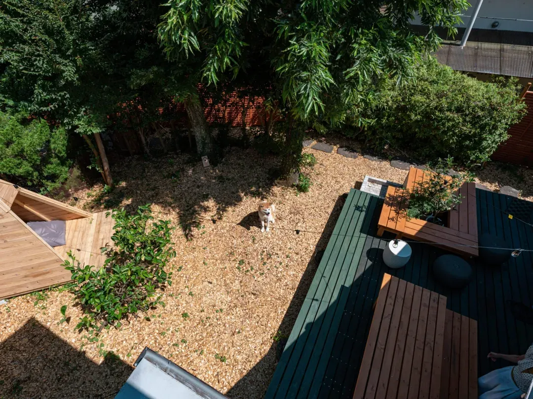 PINE CONE BASE 伊东庭园旅居