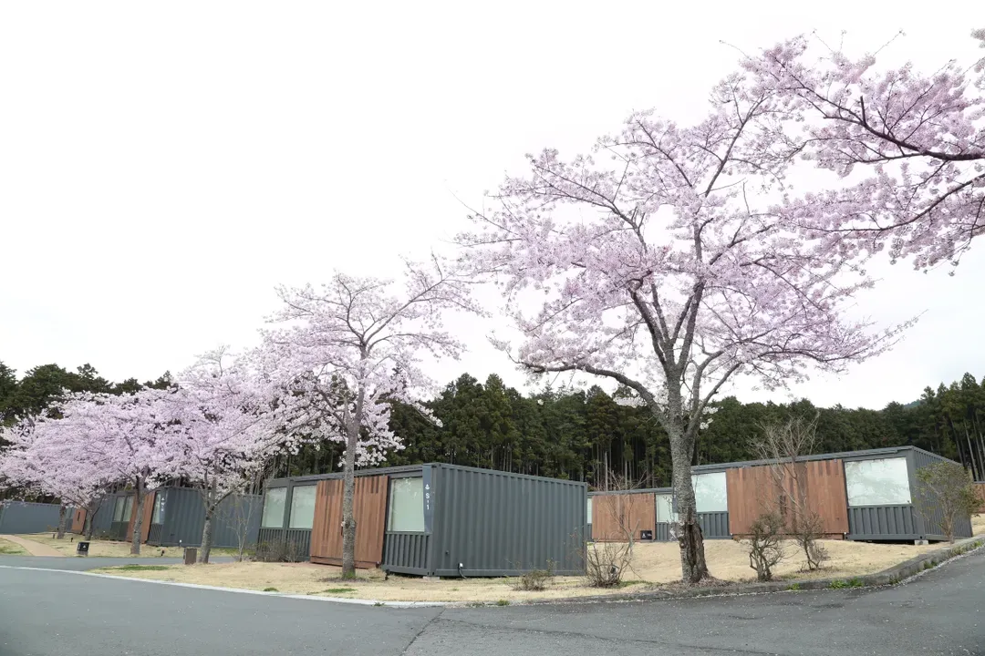 富士御殿場 藤乃煌 豪華露營｜近御殿場Outlet