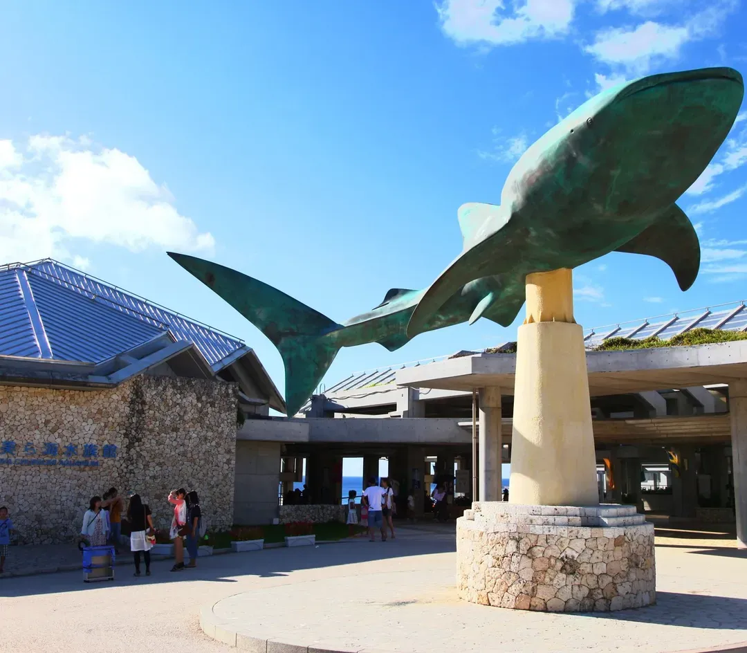 【沖繩一日遊】美麗海水族館．古宇利島．萬座毛．美國村(C路線)｜多國語音解說-5