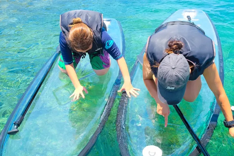 行程簡介-overview