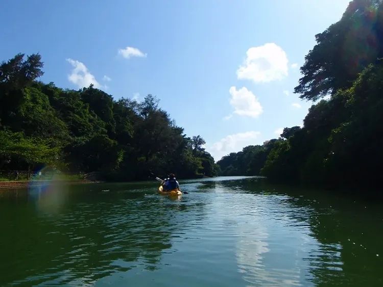 行程簡介-overview