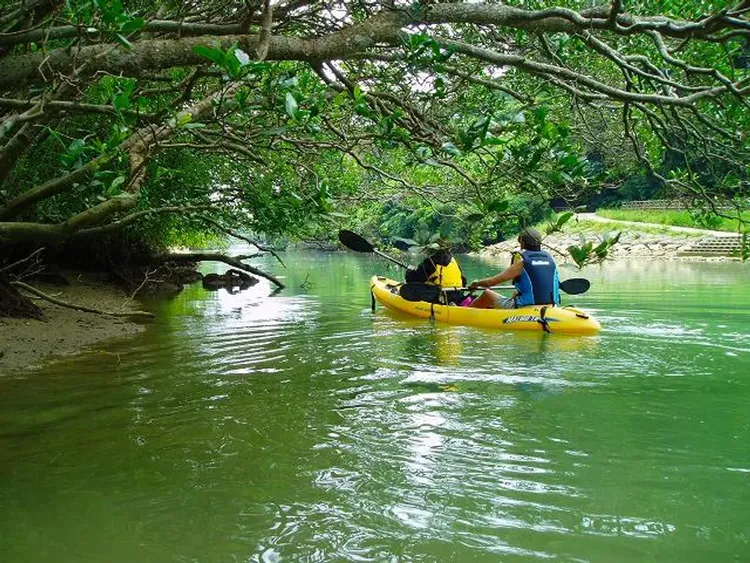 【沖繩嘉手納（中部）出發】比謝川紅樹林探險獨木舟之旅