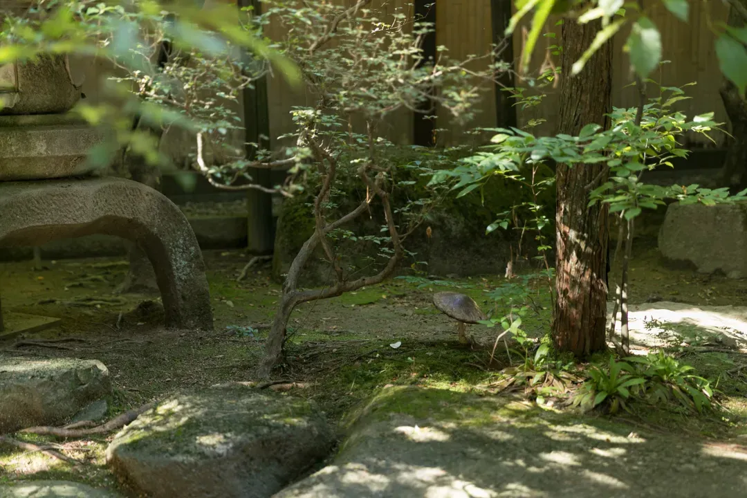 Sumiyoshi Ryokan (Gifu)