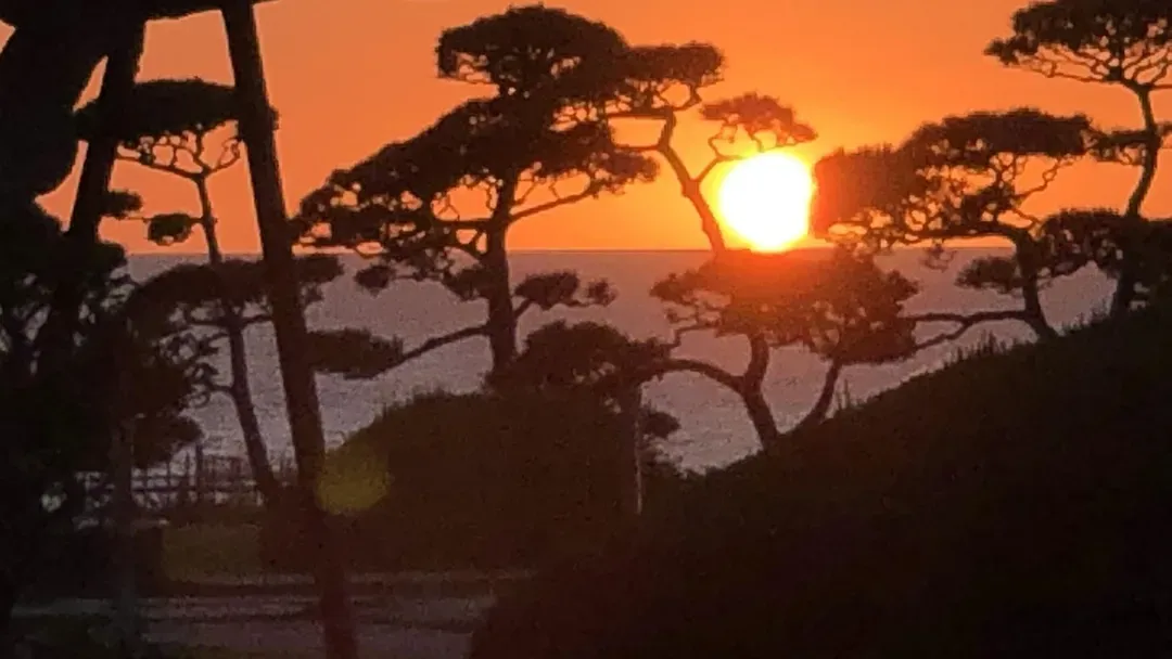 大佐渡温泉饭店｜海景温泉/近佐渡金银山