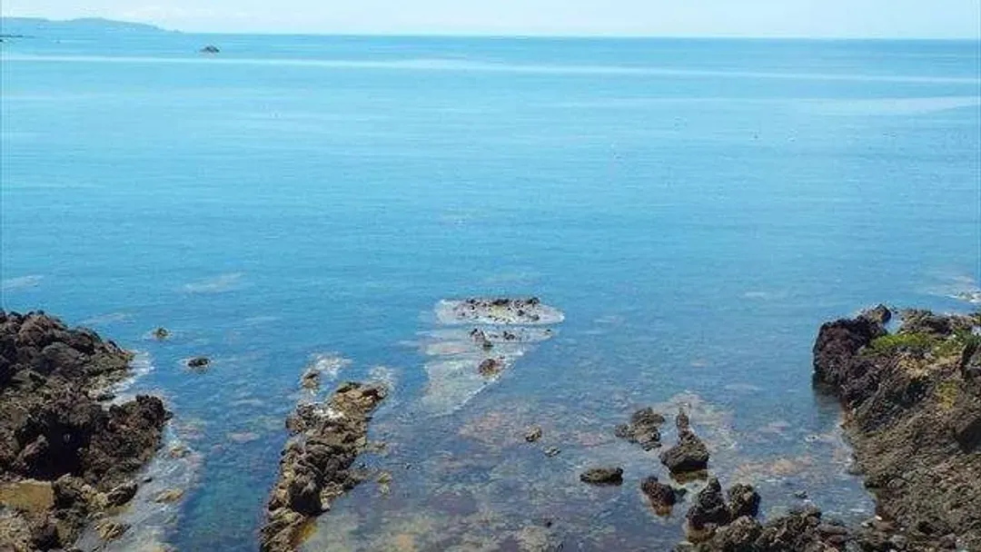吾妻饭店 佐渡岛｜海景绝景温泉