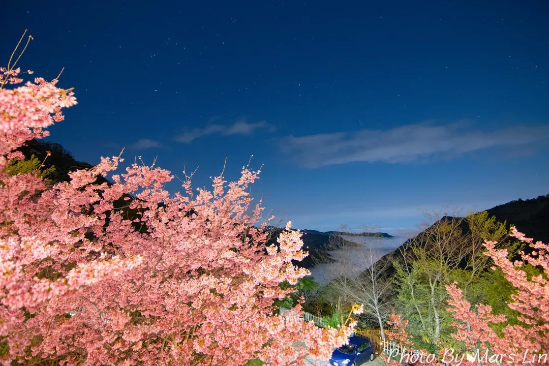 星空漫漫 Starry sky｜輕奢露營、獨立衛浴、贈迎賓點心