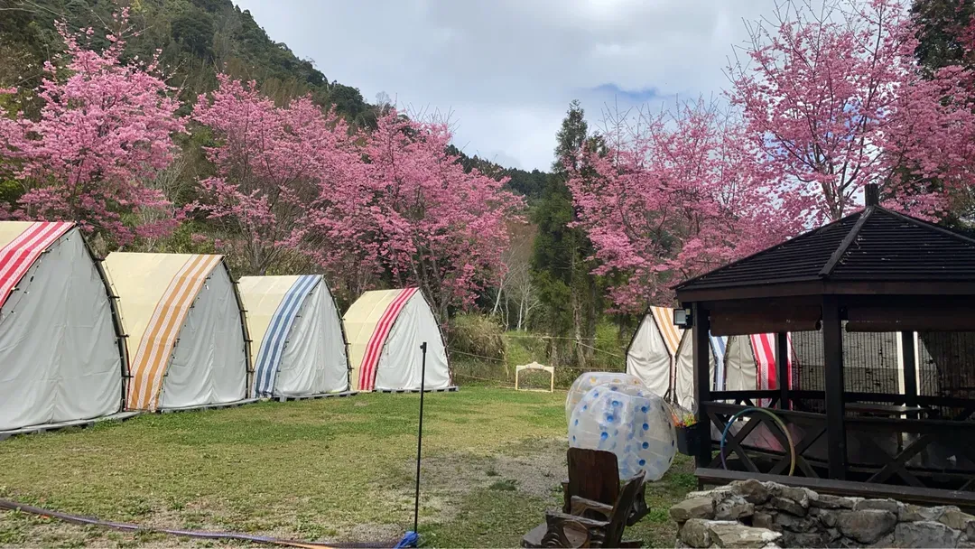 Ruyan Camping