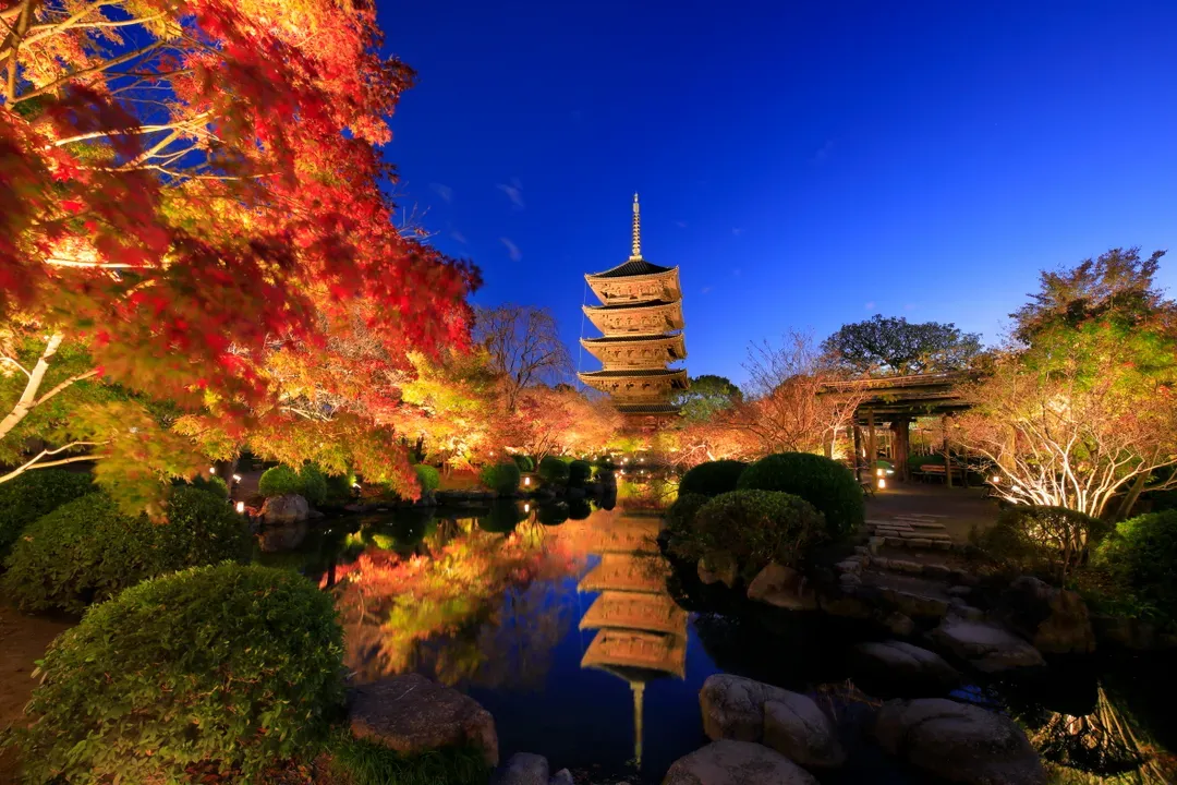 【星野集團】OMO3 京都東寺｜東寺站徒歩2分/京都站徒歩13分-18
